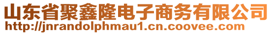 山東省聚鑫隆電子商務(wù)有限公司