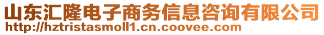 山東匯隆電子商務信息咨詢有限公司