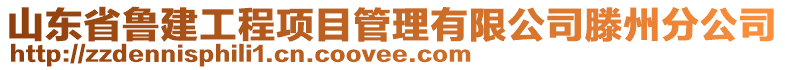 山東省魯建工程項(xiàng)目管理有限公司滕州分公司