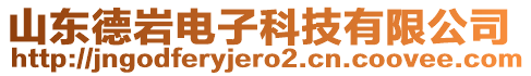 山東德巖電子科技有限公司