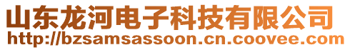 山東龍河電子科技有限公司