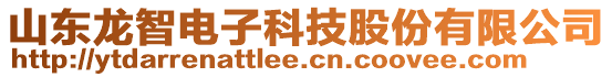 山東龍智電子科技股份有限公司