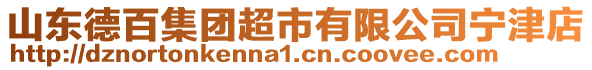 山東德百集團超市有限公司寧津店