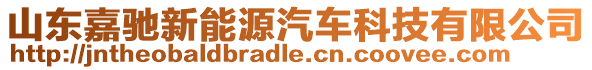 山東嘉馳新能源汽車科技有限公司