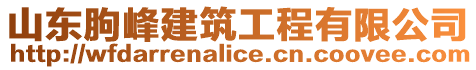 山東朐峰建筑工程有限公司