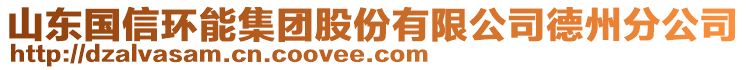 山東國(guó)信環(huán)能集團(tuán)股份有限公司德州分公司