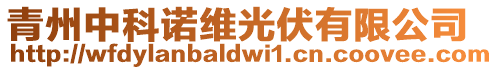 青州中科諾維光伏有限公司