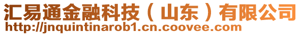 汇易通金融科技（山东）有限公司