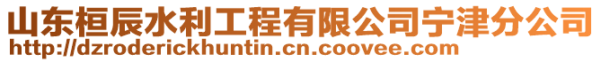 山東桓辰水利工程有限公司寧津分公司