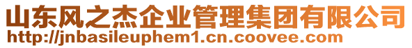 山東風(fēng)之杰企業(yè)管理集團(tuán)有限公司