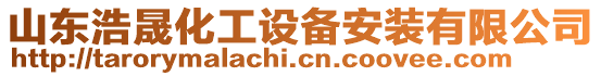 山東浩晟化工設備安裝有限公司