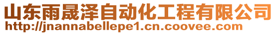 山東雨晟澤自動化工程有限公司