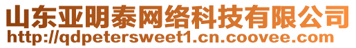 山東亞明泰網(wǎng)絡科技有限公司