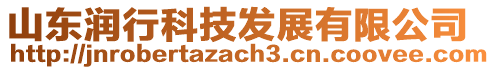 山東潤行科技發(fā)展有限公司