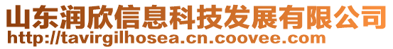 山東潤(rùn)欣信息科技發(fā)展有限公司