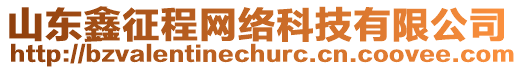 山東鑫征程網絡科技有限公司