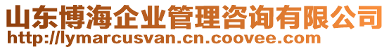 山東博海企業(yè)管理咨詢有限公司