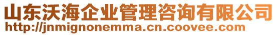 山東沃海企業(yè)管理咨詢有限公司