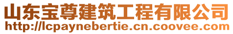山東寶尊建筑工程有限公司