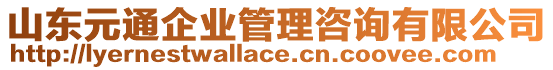 山東元通企業(yè)管理咨詢有限公司