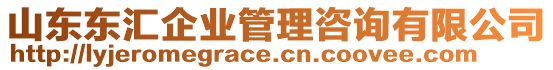 山東東匯企業(yè)管理咨詢有限公司