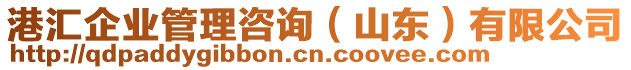 港匯企業(yè)管理咨詢（山東）有限公司