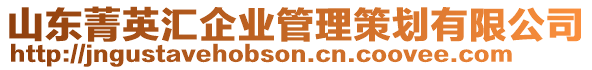 山東菁英匯企業(yè)管理策劃有限公司