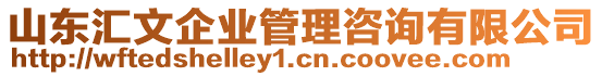 山東匯文企業(yè)管理咨詢(xún)有限公司