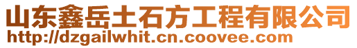 山東鑫岳土石方工程有限公司