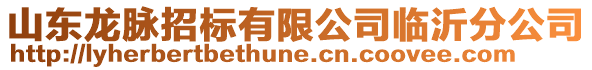 山東龍脈招標(biāo)有限公司臨沂分公司