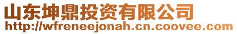 山東坤鼎投資有限公司