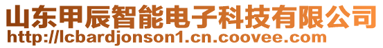 山東甲辰智能電子科技有限公司