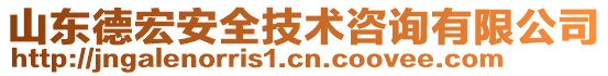 山東德宏安全技術(shù)咨詢有限公司