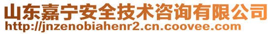 山東嘉寧安全技術(shù)咨詢有限公司