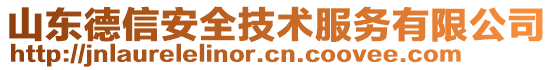 山東德信安全技術(shù)服務(wù)有限公司