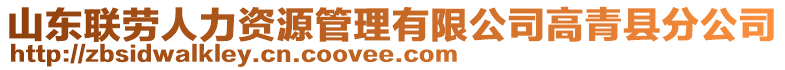 山東聯(lián)勞人力資源管理有限公司高青縣分公司