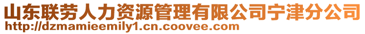 山東聯(lián)勞人力資源管理有限公司寧津分公司