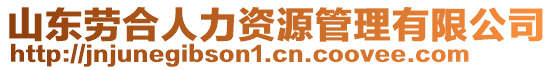 山東勞合人力資源管理有限公司