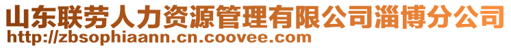 山東聯(lián)勞人力資源管理有限公司淄博分公司