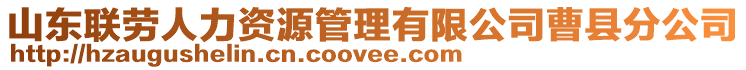 山東聯(lián)勞人力資源管理有限公司曹縣分公司