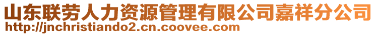 山東聯(lián)勞人力資源管理有限公司嘉祥分公司