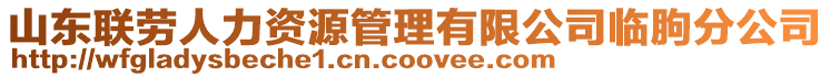 山東聯(lián)勞人力資源管理有限公司臨朐分公司