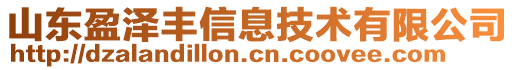 山東盈澤豐信息技術(shù)有限公司