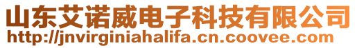 山東艾諾威電子科技有限公司