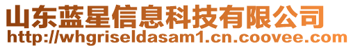 山東藍(lán)星信息科技有限公司