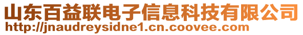 山東百益聯(lián)電子信息科技有限公司