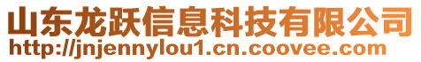 山東龍躍信息科技有限公司