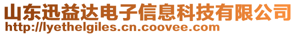 山東迅益達(dá)電子信息科技有限公司