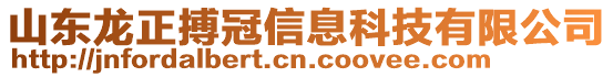 山東龍正搏冠信息科技有限公司