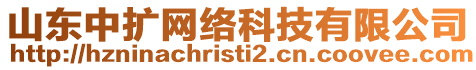 山東中擴網絡科技有限公司